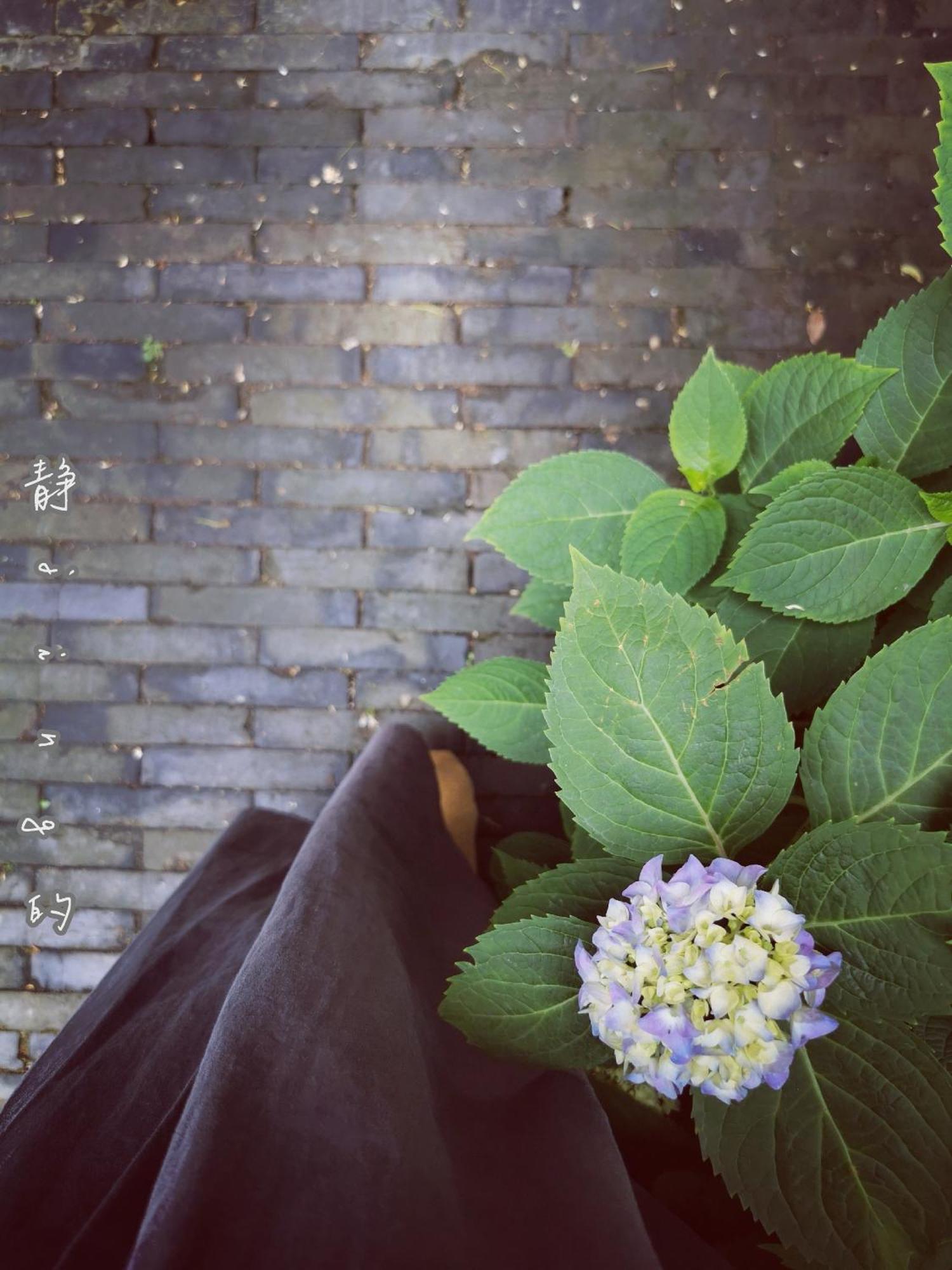Suzhou Houlishenghuo Guesthouse Buitenkant foto